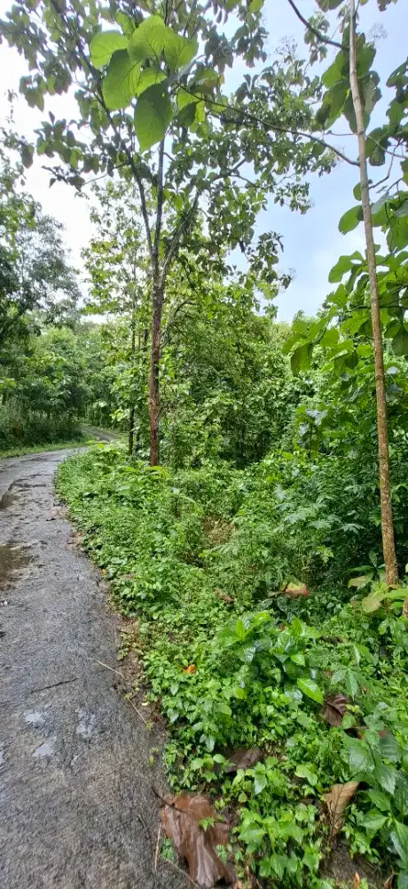 Tanah dijual cepat Luas total 9172m2