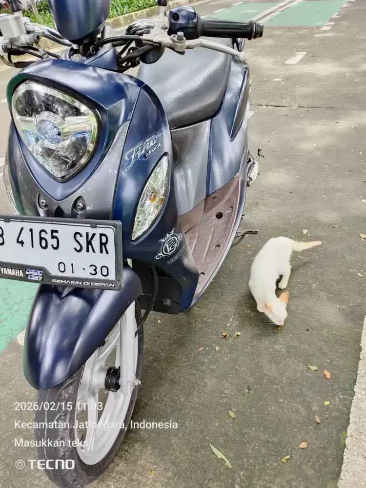 FINO GRANDE 2019/ 2020