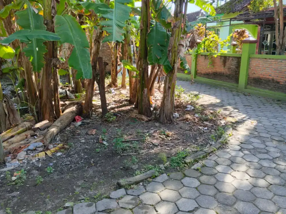 Tanah Murah Strategis selatan Kampus ISI dekat resto Numani