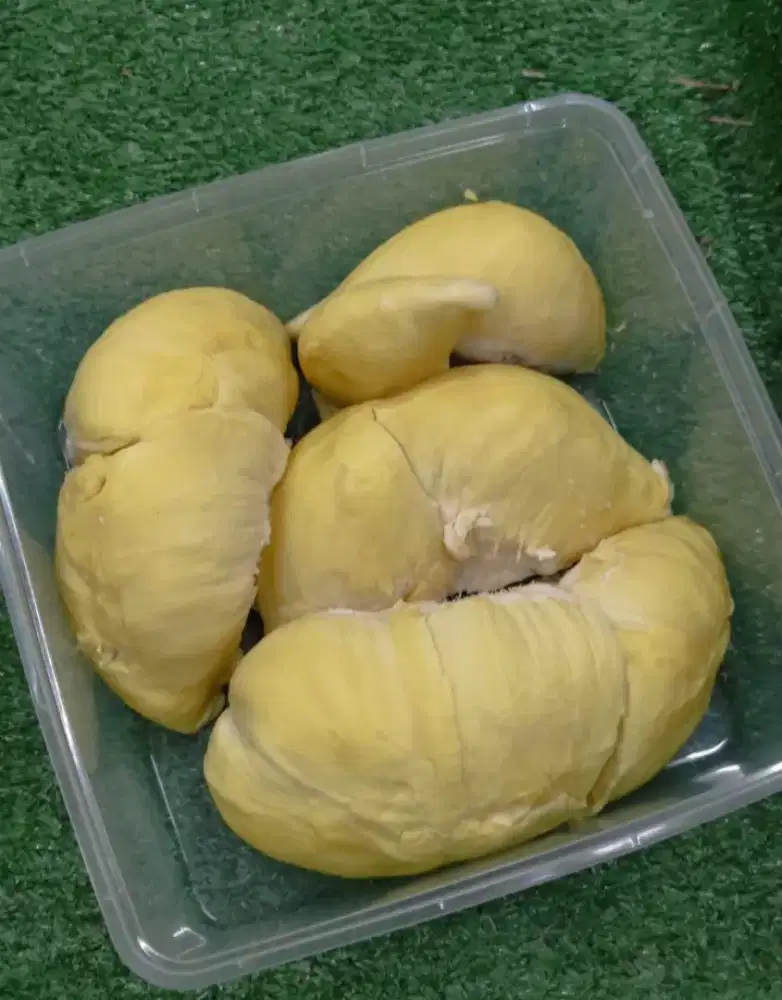 Durian Montong legit manis fresh