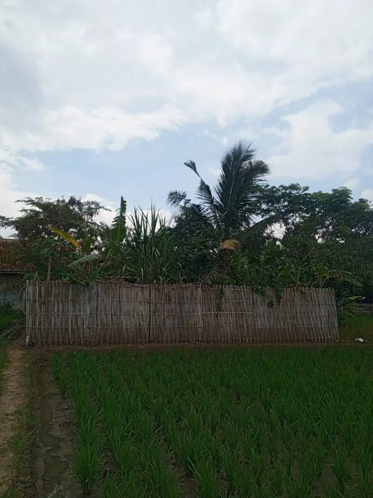 Jual Murah Tanah Kebun 8 Tumbak di Katapang