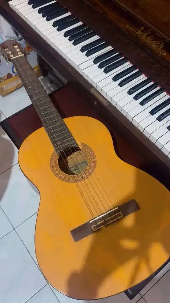 Gitar Yamaha C-350