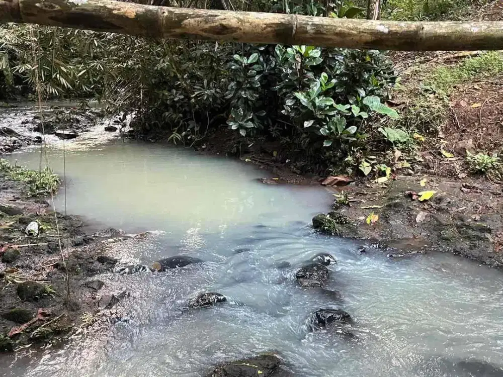 Dijual Tanah Kebun View Sawah Los Sungai Di Tabanan Bali