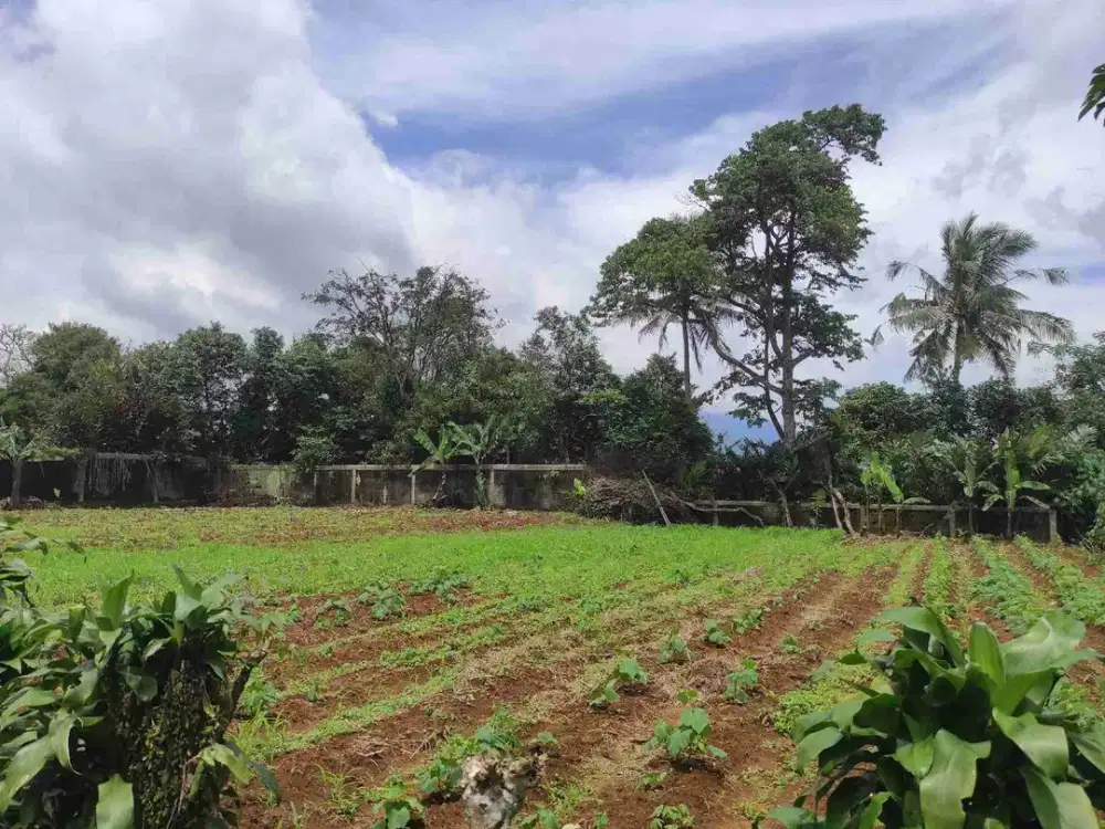 DIJUAL TANAH / LAHAN MURAH DI TAJUR CIAWI KOTA BOGOR