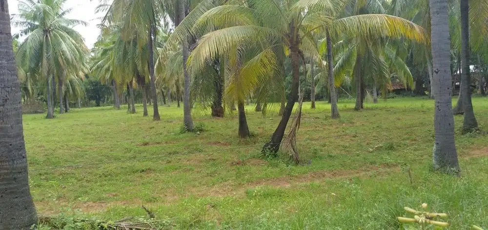 Tanah Dijual Pinggir Jalan