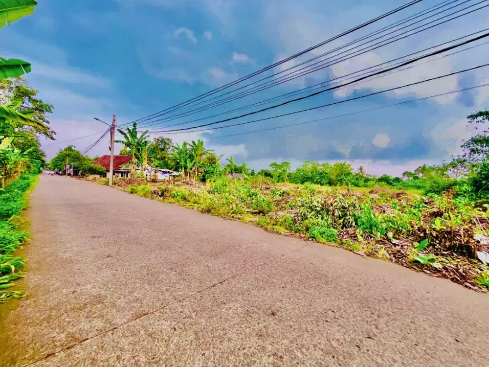 Tanah Murah Dekat Hiera BSD, SHM 1 Jt-An