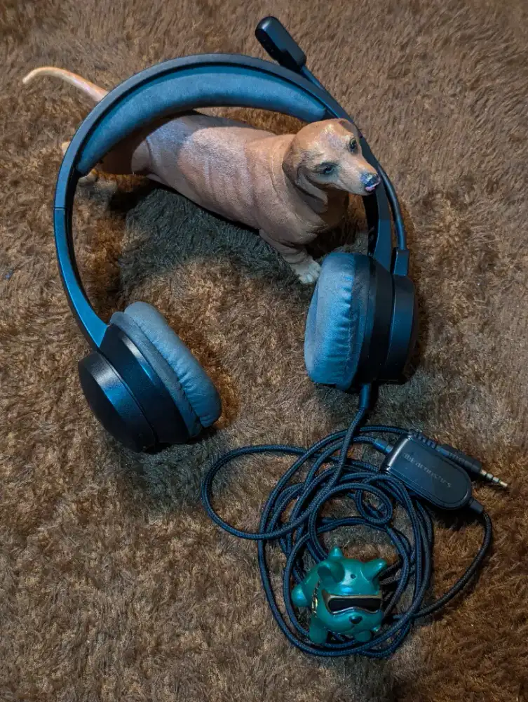 Headphone Headphones Headset DBE ACOUSTICS HSO100