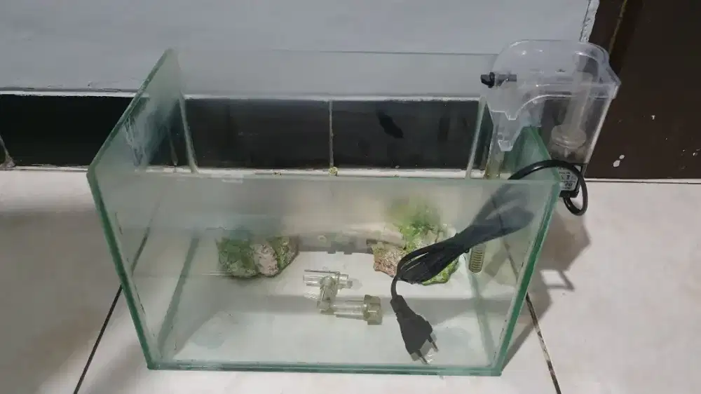 Aquarium Akuarium Kaca Mini