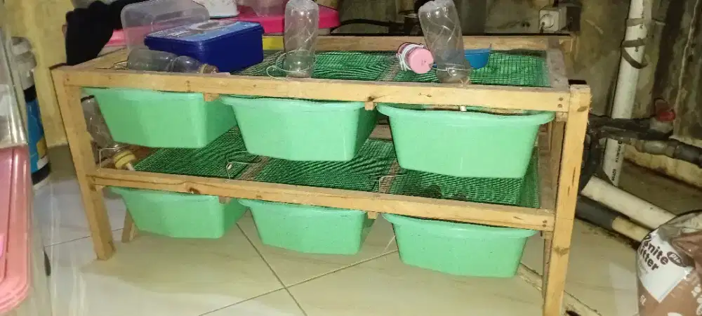 Rak untuk hamster atau mencit