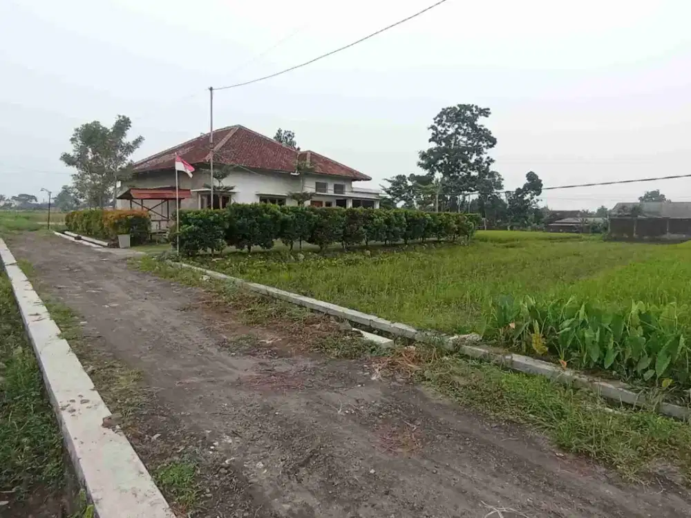 DIJUAL Sawah Barat Pasar Sidorejo Baru Selomartani Kalasan