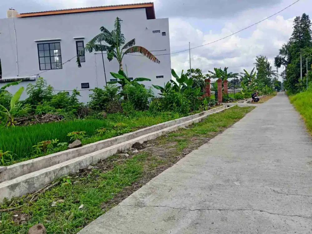 JUAL PEKARANGAN POKOH WEDOMARTANI