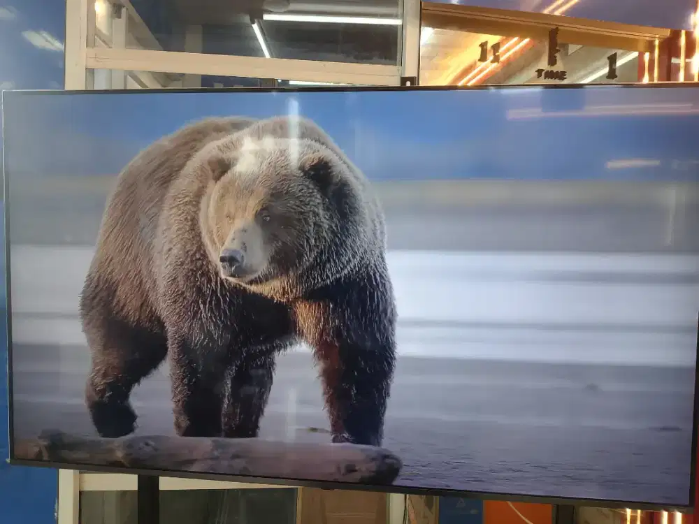 SEMART TV LG 65 INCH