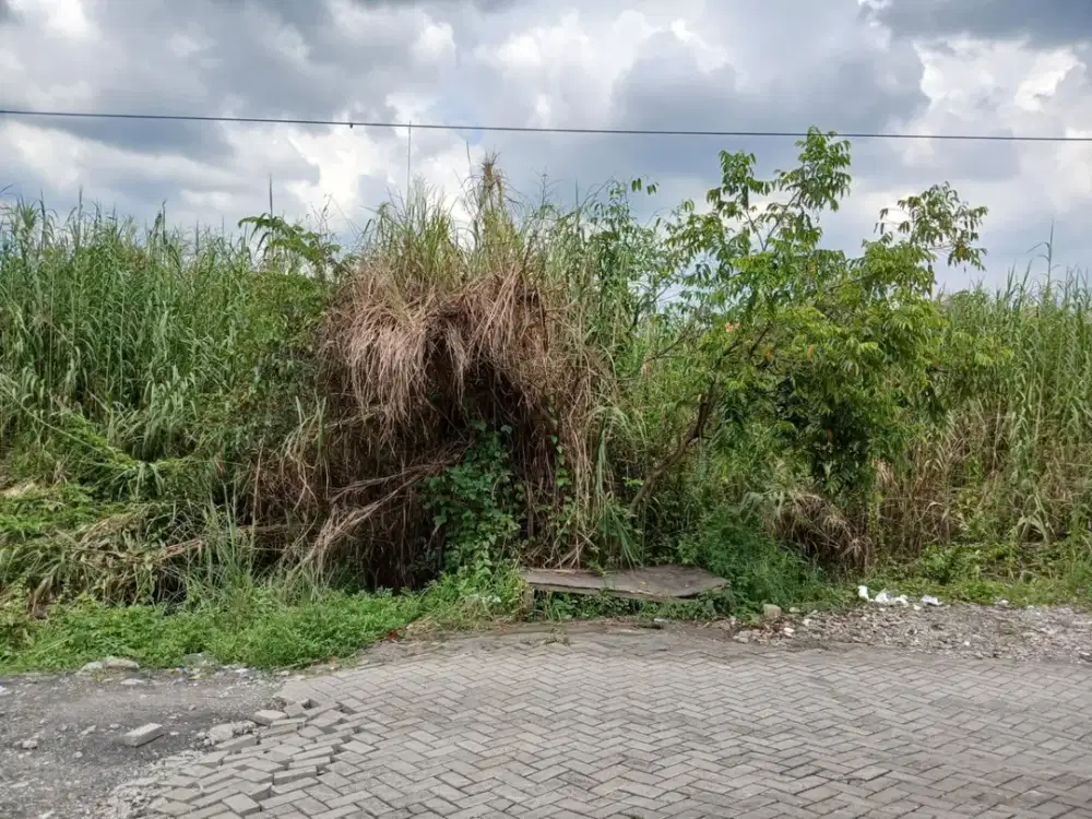 Jual dibawah harga pasar