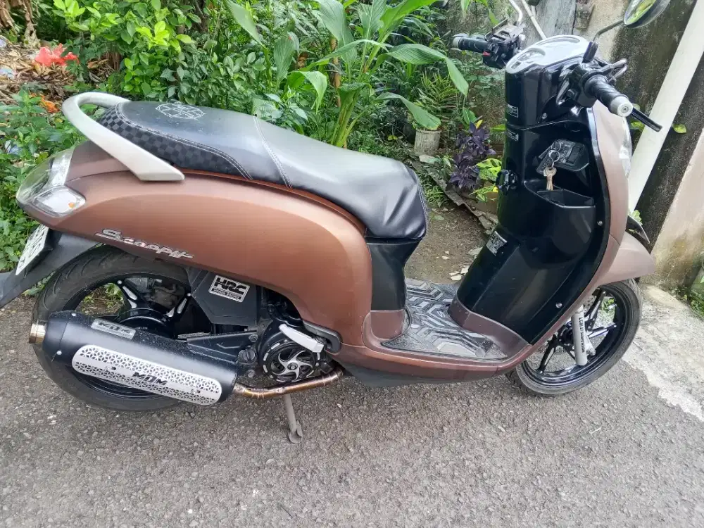 Scoopy ESP 2019