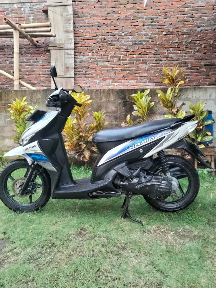 Vario karbu tahun 2011