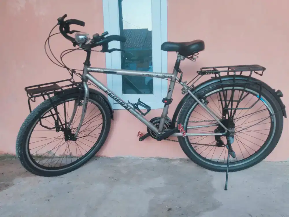 Sepeda Federal Street Cat