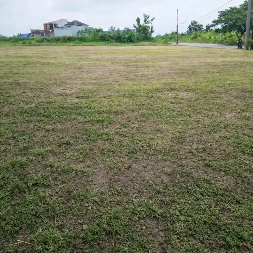 Tanah strategis pinggir jalan raya Ngaliyan