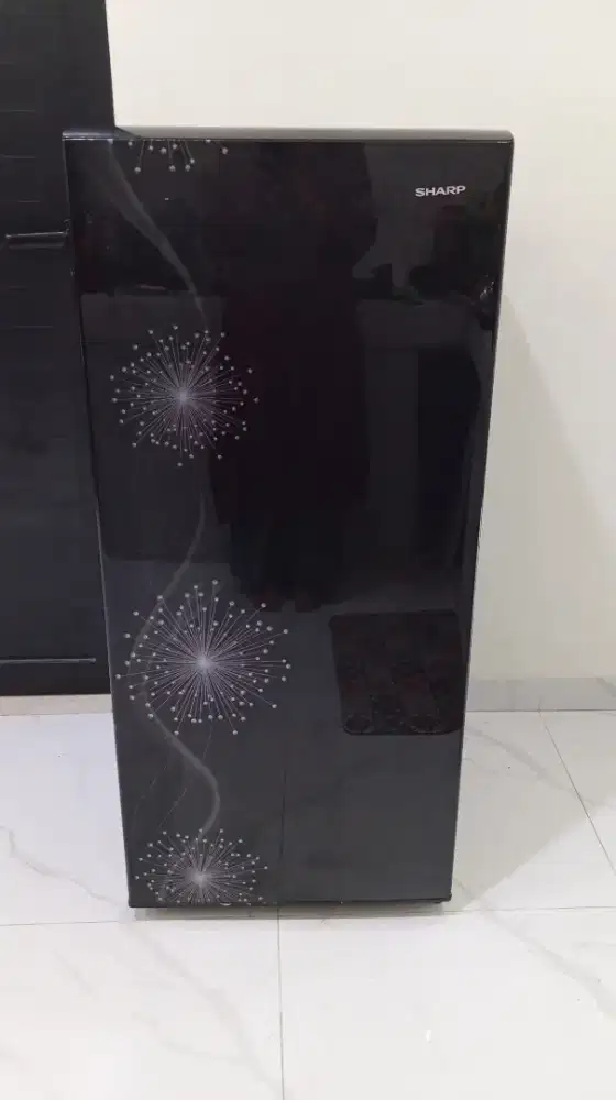 Kulkas Sharp SJX 197 Kapasitas 185 lt