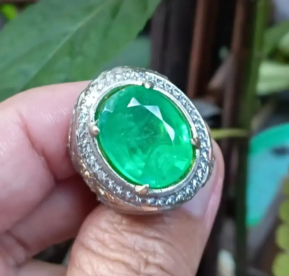 Natural Zamrud Colombia