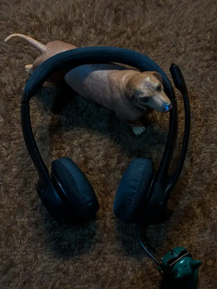 Headphone Headphones Headset LOGITECH LOGI H390 USB