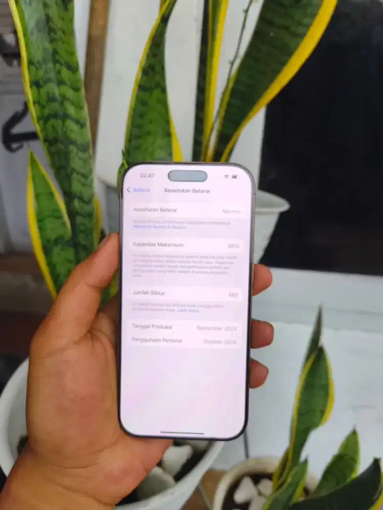 iphone 16 Pro 256gb Beacukai