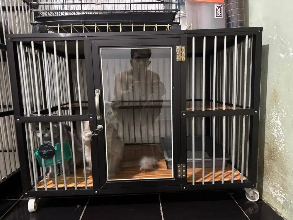 Kandang kucing uk 90x60x60