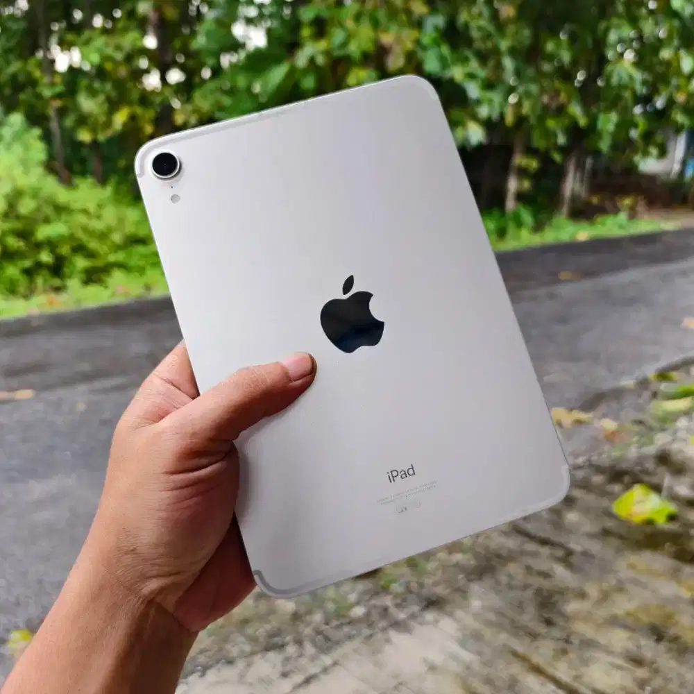 ipad mini 6 cellular 256gb ibox unit only