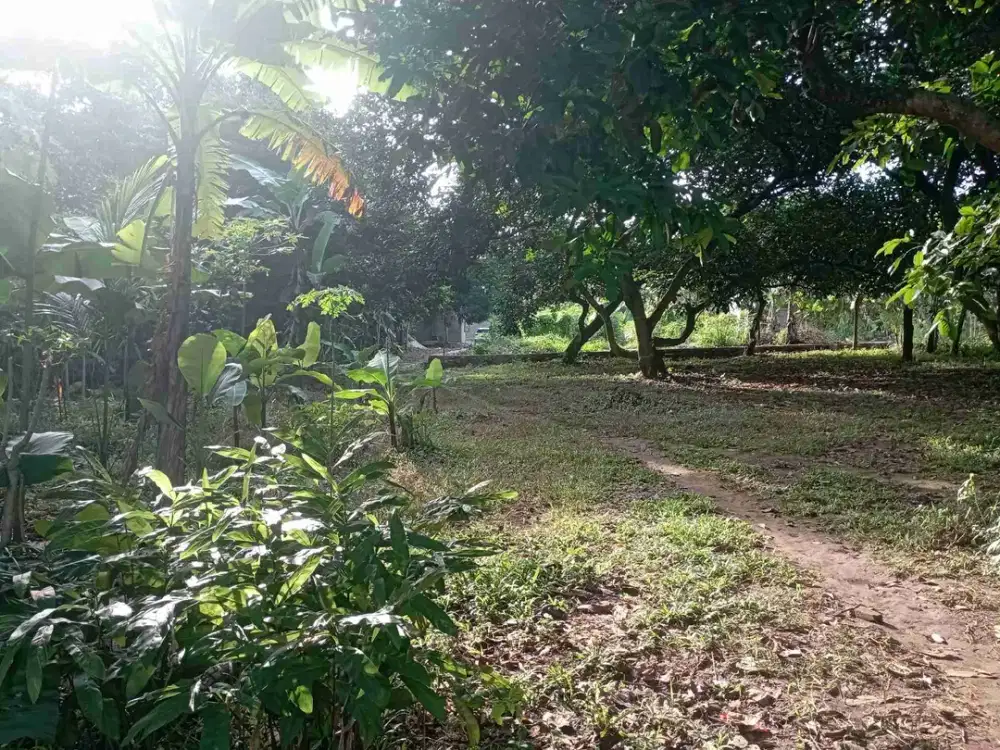 Dijual tanah di cimuning mustika jaya Bekasi kota harga NJOP jarang ada