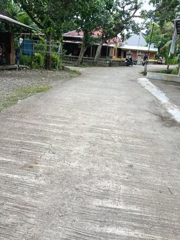 TANAH SAWAH SDH DI PONDASI DAN URUG