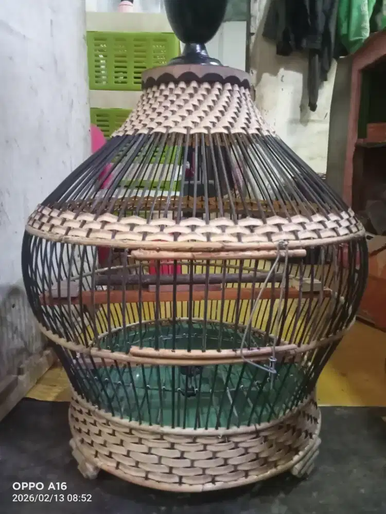 Sangkar perkutut mini baru