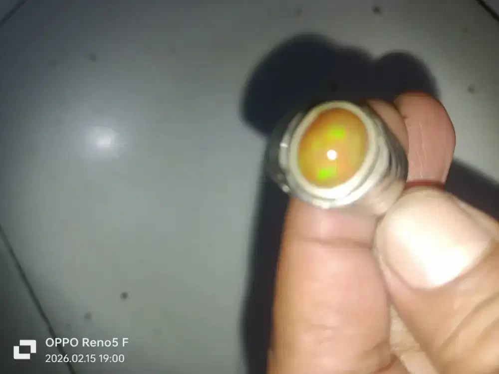 Kali maya teh ukuran kecil