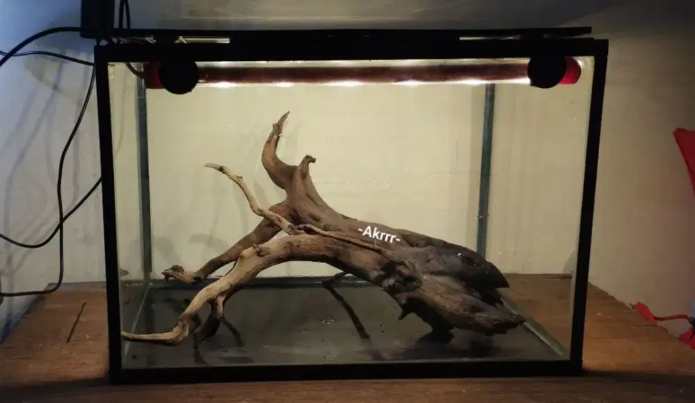 Aquarium Gex ukuran L