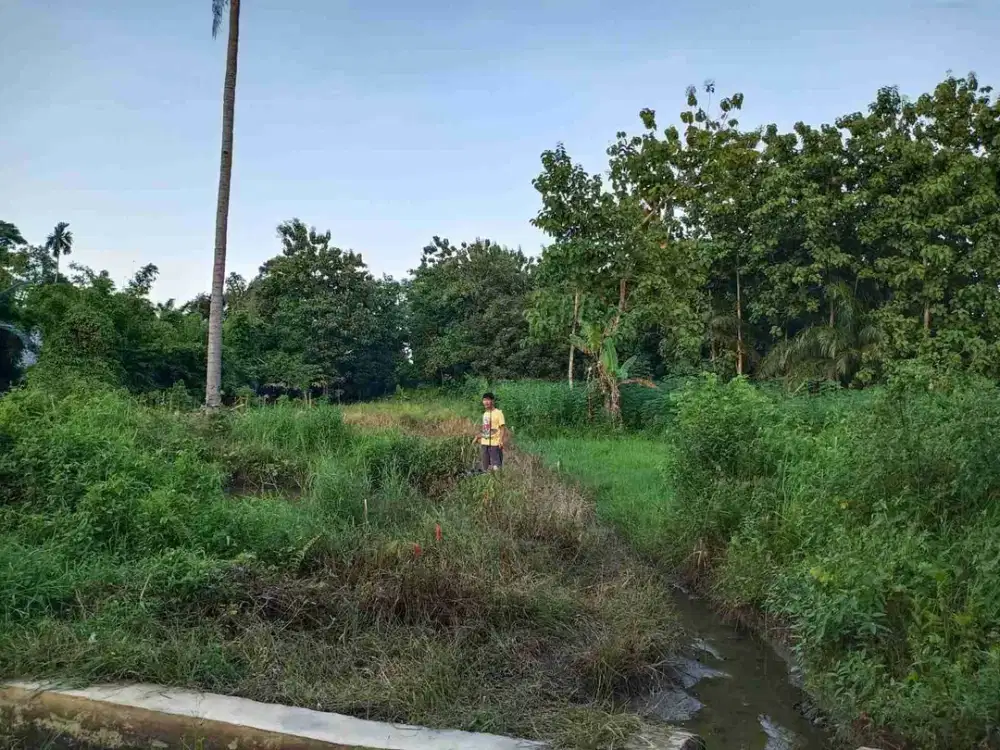 Di Jual Cepat Tanah Kosong di Tirta Deli Labuhan Bawah Medan Sumatra Utara