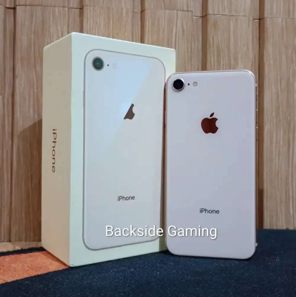 iPhone 8 256GB No Minus