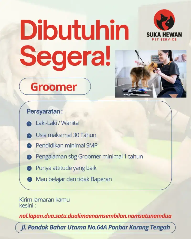 Dicari Groomer di Petshop