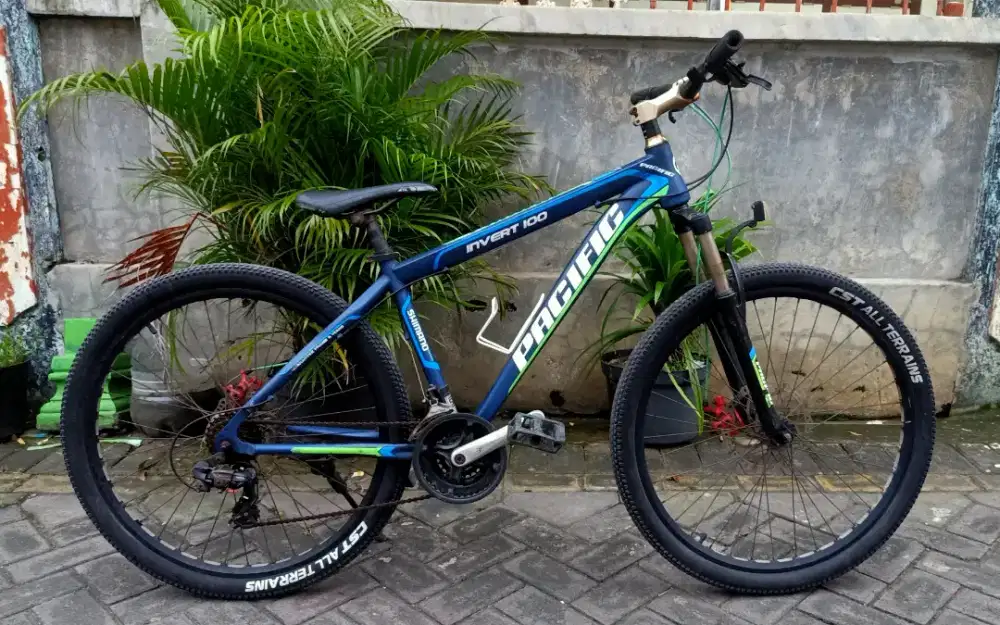 Mtb pasifik introvent 100