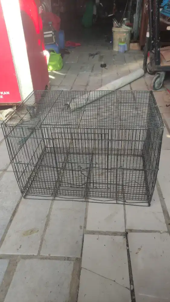 KANDANG KUCING BURUNG