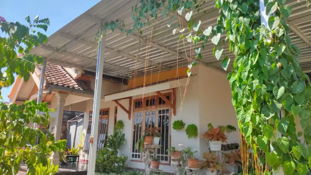 Rumah murah dan asri