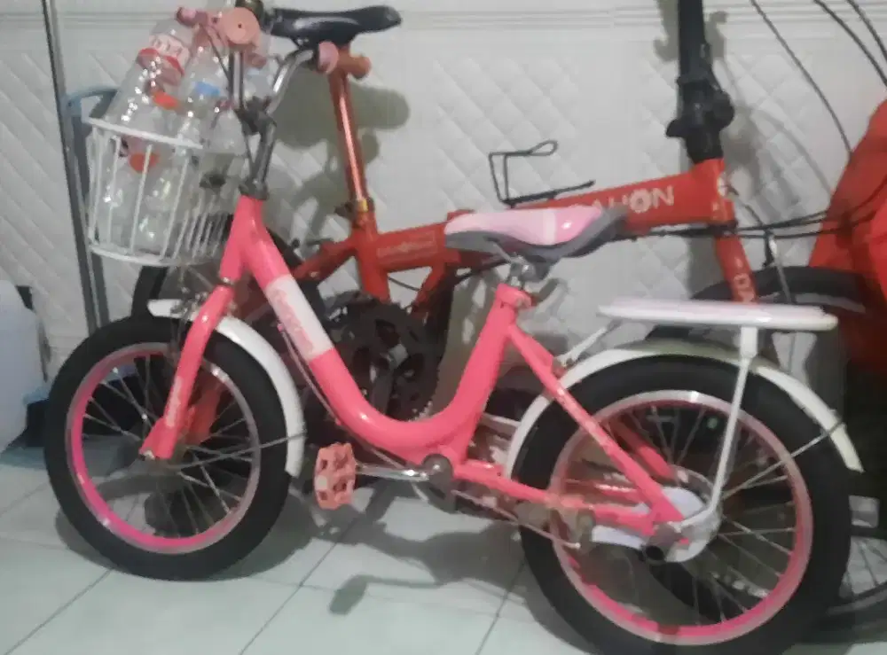 Sepeda mini anak evergreen 16 inc