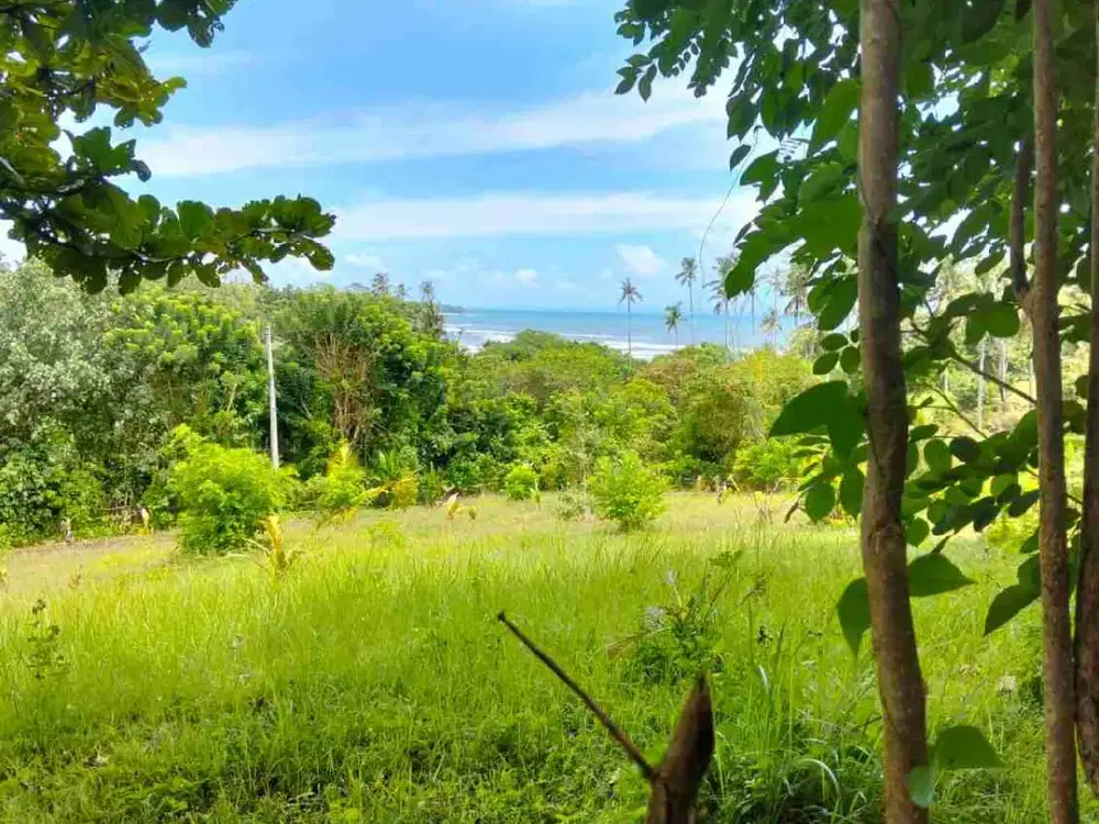 jual tanah lokasi di bonian selemadeg barat..lt 44 are hargq150/ are.