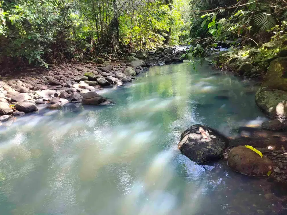 jua tanah los sungai besar. akses jln beton. kontur tanah landai datar.lbr depan -+ 75.mtr .lokasi selemadeg timur