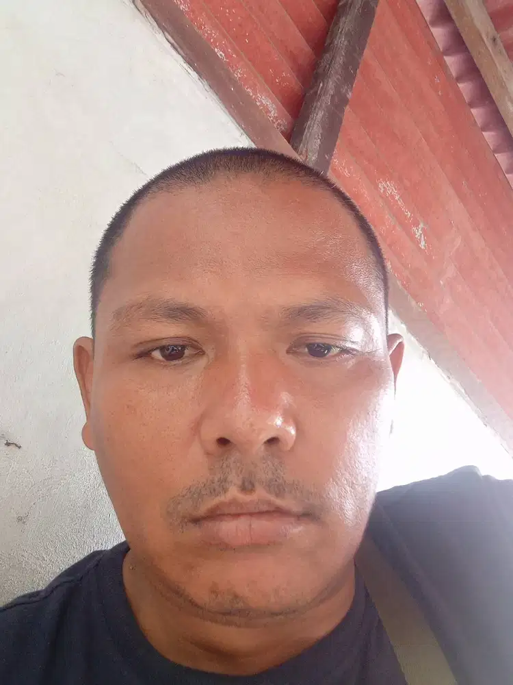 Cari lowongan driver siap dalam dan lintas