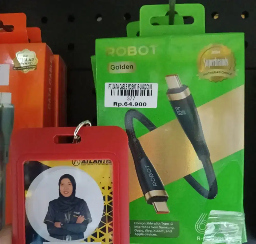 DATA CABLE ROBOT R-LUXCC100