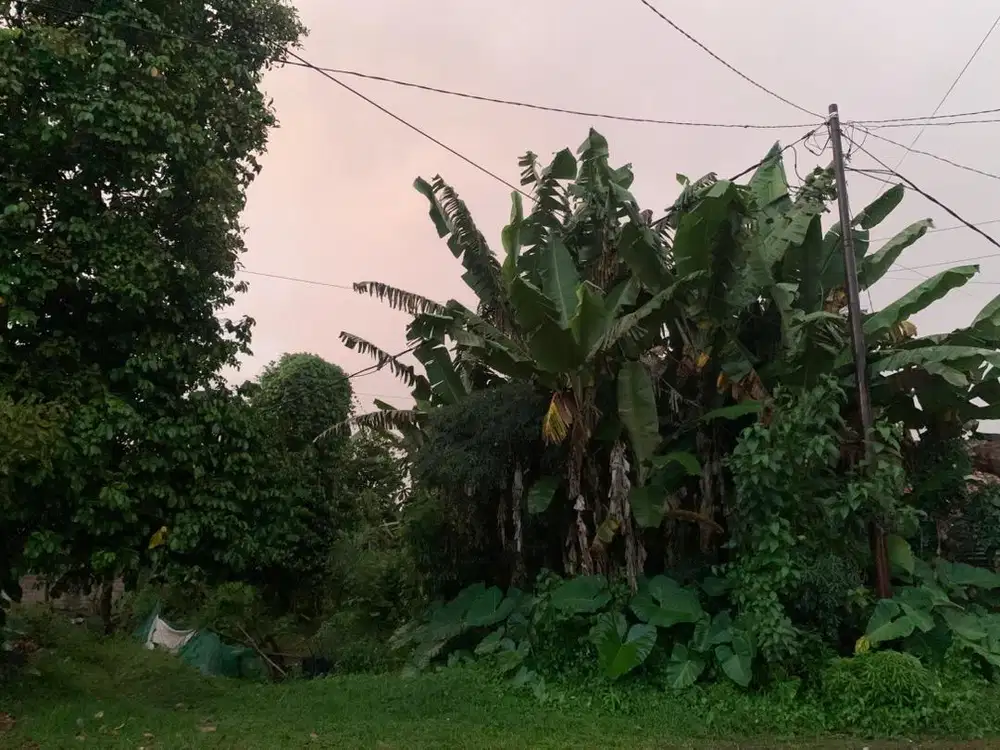 Dijual tanah di kampung kebon genep