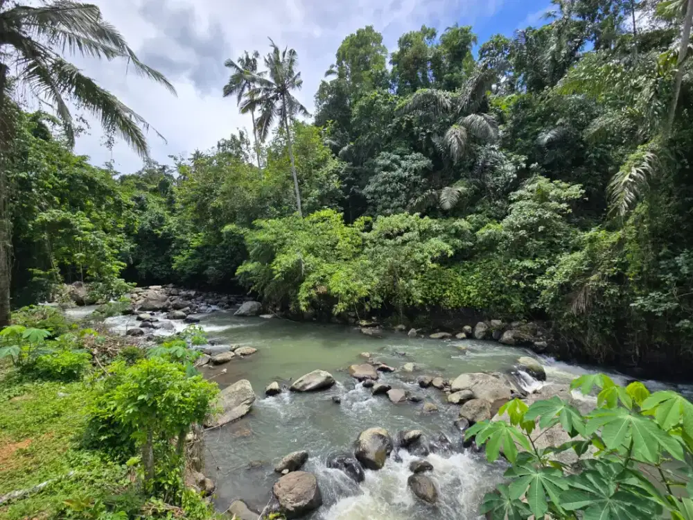 Dijual Tanah Strategis Area Villa Dan Pariwisata Penebel Tabanan Bali