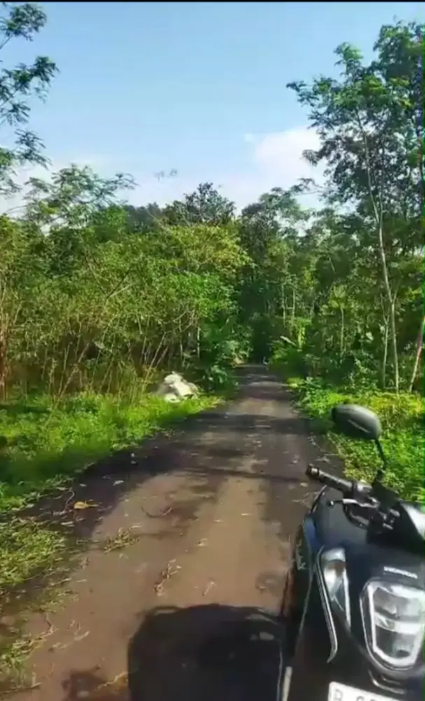 Lahan super istimewa + murah skl