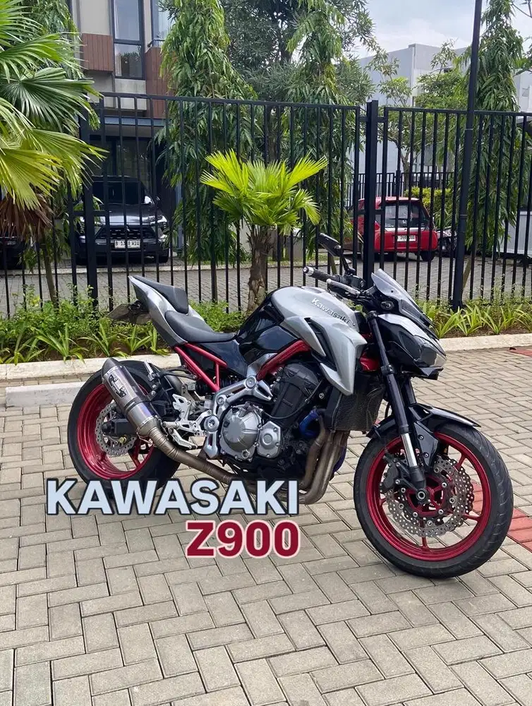 Kawasaki z900 2019