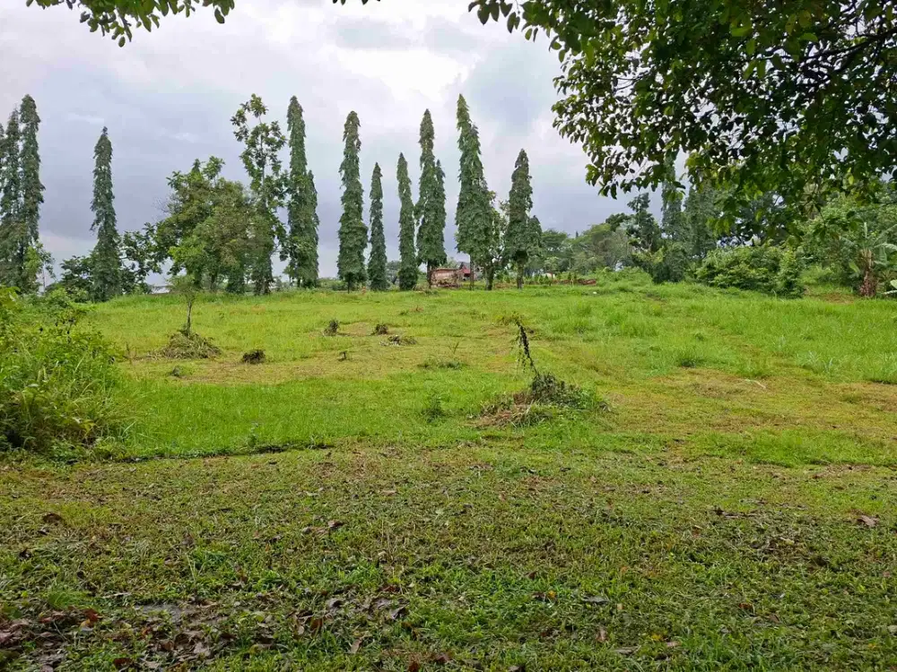 Dijual Kavling view Taman dayu Pandaan