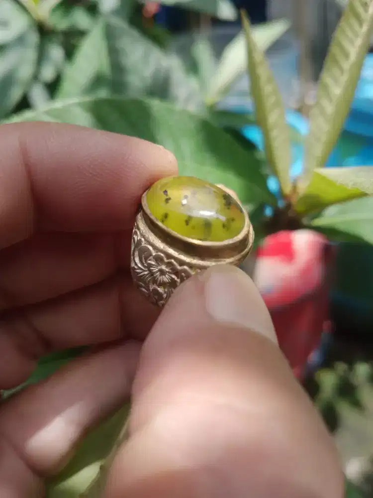 Batu Idocrase Totol Seledri