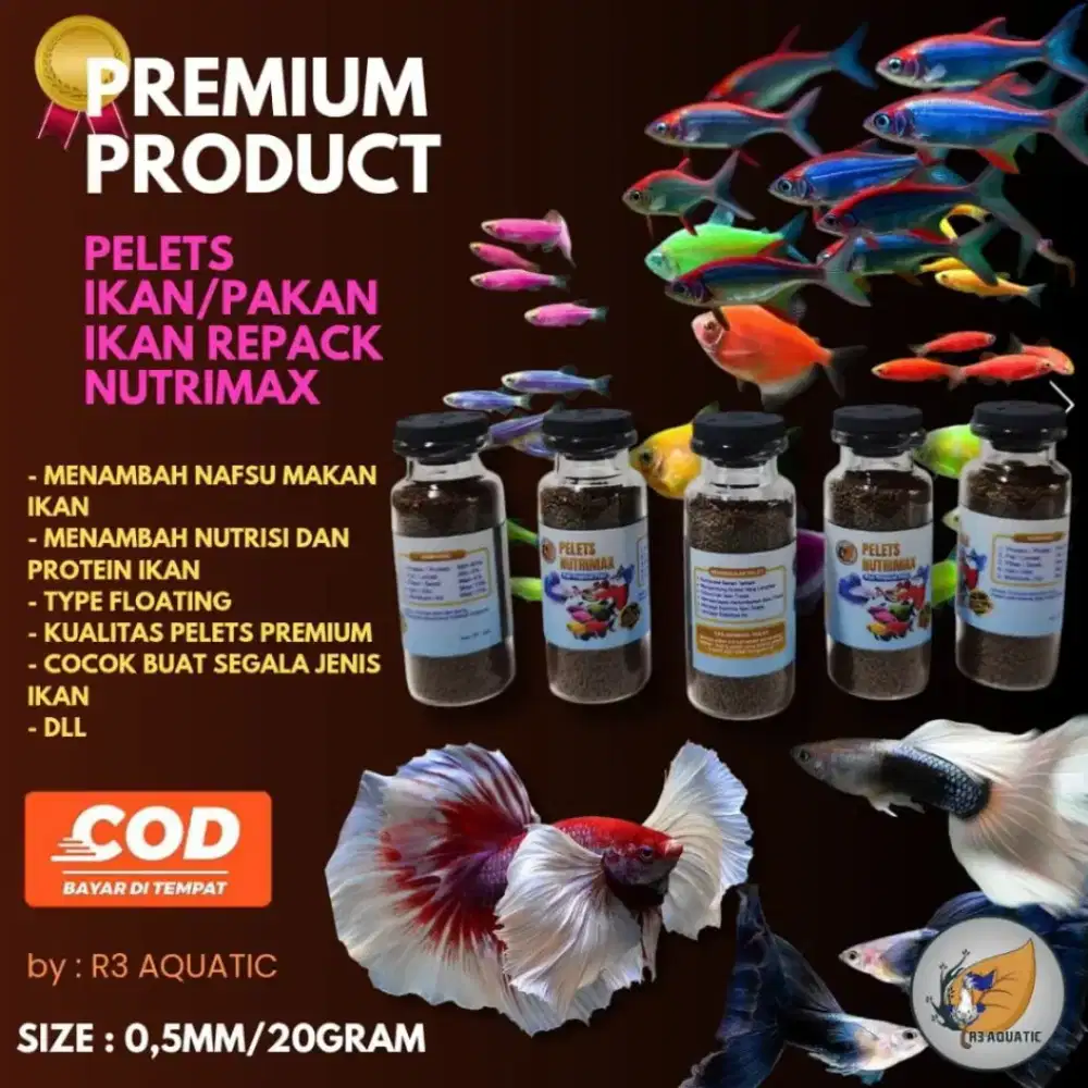 Buat ikan hias kesayangan mu